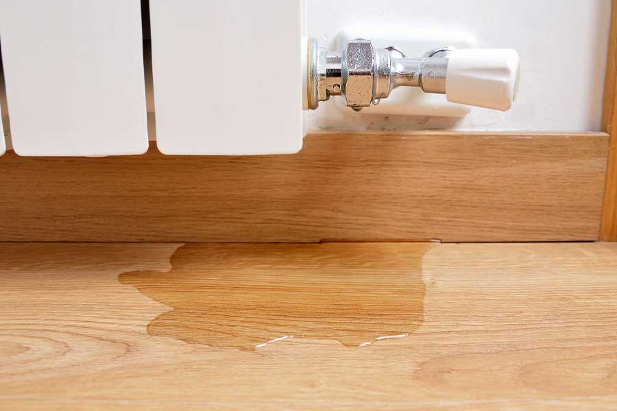 Leak detection service in Lake Oswego showing water on floor